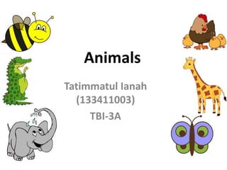 Animals 
Tatimmatul Ianah 
(133411003) 
TBI-3A 
 