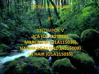 FLORA DAN FAUNA
BY
KELOMPOK V
ICA (O1A115028)
MARDIANA (O1A115036)
HASNIANA NUR (O1A115008)
LA HAIR (O1A115035)
 