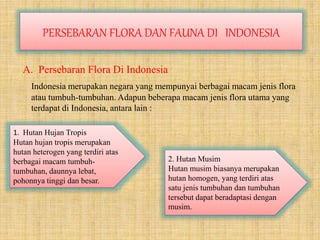 A. Persebaran Flora Di Indonesia
Indonesia merupakan negara yang mempunyai berbagai macam jenis flora
atau tumbuh-tumbuhan. Adapun beberapa macam jenis flora utama yang
terdapat di Indonesia, antara lain :
PERSEBARAN FLORA DAN FAUNA DI INDONESIA
1. Hutan Hujan Tropis
Hutan hujan tropis merupakan
hutan heterogen yang terdiri atas
berbagai macam tumbuh-
tumbuhan, daunnya lebat,
pohonnya tinggi dan besar.
2. Hutan Musim
Hutan musim biasanya merupakan
hutan homogen, yang terdiri atas
satu jenis tumbuhan dan tumbuhan
tersebut dapat beradaptasi dengan
musim.
 