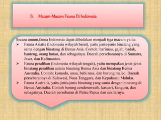 B. Macam-MacamFaunaDi Indonesia
Secara umum,fauna Indonesia dapat dibedakan menjadi tiga macam yaitu:
 Fauna Asiatis (Indonesia wilayah barat), yaitu jenis-jenis binatang yang
sama dengan binatang di Benua Asia. Contoh: harimau, gajah, badak,
banteng, orang hutan, dan sebagainya. Daerah persebarannya di Sumatra,
Jawa, dan Kalimantan.
 Fauna peralihan (Indonesia wilayah tengah), yaitu merupakan jenis-jenis
binatang peralihan antara binatang Benua Asia dan binatang Benua
Australia. Contoh: komodo, anoa, babi rusa, dan burung maleo. Daerah
persebarannya di Sulawesi, Nusa Tenggara, dan Kepulauan Maluku.
 Fauna Australis, yaitu jenis-jenis binatang yang sama dengan binatang di
Benua Australia. Contoh burung cenderawasih, kasuari, kanguru, dan
sebagainya. Daerah persebaran di Pulau Papua dan sekitarnya.
 