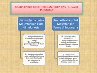 Usaha-Usaha untuk
Melestarikan Flora
di Indonesia
1) mengadakan reboisasi
terhadap hutan-hutan yang
gundul
2) menghindari
penebangan pohon di hutan
secara liar
3) membuat cagar alam,
untuk melindungi beberapa
jenis tumbuhan langka
4) mengadakan
penghijauan
Usaha-Usaha untuk
Melestarikan
Fauna di Indonesia
1) membuat suaka
margasatwa
2) mengeluarkan undang-
undang perlindungan
terhadap binatang-binatang
langka
3) mengadakan
pengembangbiakan terhadap
jenis-jenis binatag langka
4) menghindari perburuan
binatang secara liar.
USAHA UNTUK MELESTARIKAN FLORA DAN FAUNA DI
INDONESIA
 