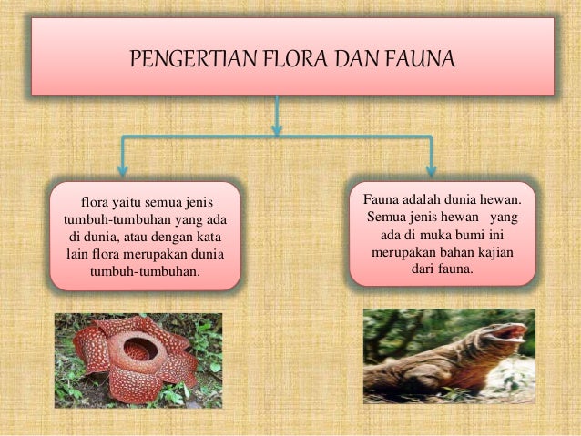 Ppt flora  fauna 