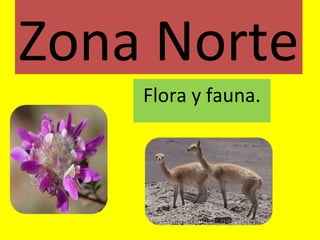 Zona Norte
Flora y fauna.

 
