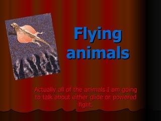 Flying
           animals

Actually all of the animals I am going
to talk about either glide or powered
                  fight.
 