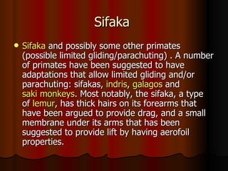 Sifaka
   Sifaka and possibly some other primates
    (possible limited gliding/parachuting) . A number
    of primates have been suggested to have
    adaptations that allow limited gliding and/or
    parachuting: sifakas, indris, galagos and
    saki monkeys. Most notably, the sifaka, a type
    of lemur, has thick hairs on its forearms that
    have been argued to provide drag, and a small
    membrane under its arms that has been
    suggested to provide lift by having aerofoil
    properties.
 