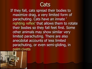 Cats
If they fall, cats spread their bodies to
  maximize drag, a very limited form of
  parachuting. Cats have an innate '
  righting reflex' that allows them to rotate
  their bodies so they fall feet first. Some
  other animals may show similar very
  limited parachuting. There are also
  anecdotal accounts of less limited
  parachuting, or even semi-gliding, in
  palm civets
 