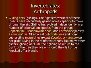 Invertebrates:
                      Arthropods
   Gliding ants (gliding). The flightless workers of these
    insects have secondarily gained some capacity to move
    through the air. Gliding has evolved independently in a
    number of arboreal ant species from the groups
    Cephalotini, Pseudomyrmecinae, and Formicinae(mostly
    Camponotus). All arboreal dolichoderines and non-
    cephalotine myrmicines except Daceton armigerum do
    not glide. Living in the rainforest canopy like many other
    gliders, gliding ants use their gliding to return to the
    trunk of the tree they live on should they fall or be
    knocked off a branch.
 