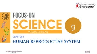 Comprehensive Overview of Human Reproductive System and Cell Division ...