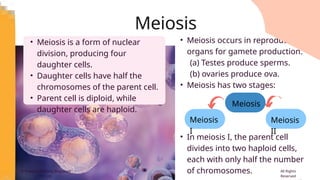 Comprehensive Overview of Human Reproductive System and Cell Division ...