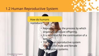 Comprehensive Overview of Human Reproductive System and Cell Division ...