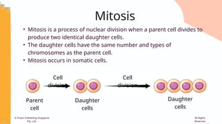 Comprehensive Overview of Human Reproductive System and Cell Division ...