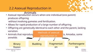 Comprehensive Overview of Reproduction in Animals and Plants: Sexual ...