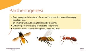Comprehensive Overview of Reproduction in Animals and Plants: Sexual ...