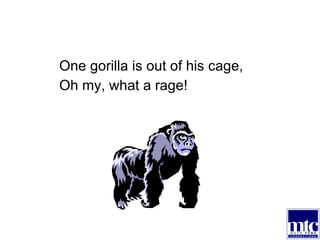 One gorilla is out of his cage, Oh my, what a rage! 