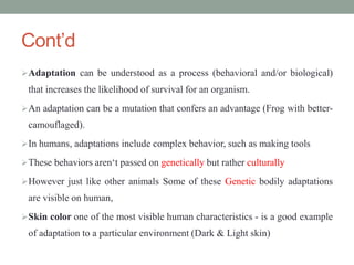 Cont’d
Adaptation can be understood as a process (behavioral and/or biological)
that increases the likelihood of survival for an organism.
An adaptation can be a mutation that confers an advantage (Frog with better-
camouflaged).
In humans, adaptations include complex behavior, such as making tools
These behaviors aren‘t passed on genetically but rather culturally
However just like other animals Some of these Genetic bodily adaptations
are visible on human,
Skin color one of the most visible human characteristics - is a good example
of adaptation to a particular environment (Dark & Light skin)
 