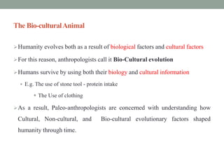 The Bio-culturalAnimal
Humanity evolves both as a result of biological factors and cultural factors
For this reason, anthropologists call it Bio-Cultural evolution
Humans survive by using both their biology and cultural information
 E.g. The use of stone tool - protein intake
 The Use of clothing
As a result, Paleo-anthropologists are concerned with understanding how
Cultural, Non-cultural, and Bio-cultural evolutionary factors shaped
humanity through time.
 