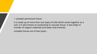 • complex permanent tissue
it is made up of more than one types of cells which works together as a
unit. it is also known as conducting or vascular tissue. it also helps in
transfer of organic materials and water and minerals.
complex tissues are of two types:-
 