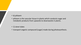 • b) phloem
• phloem is the vascular tissue in plants which conducts sugar and
metabolic products from upwards to downwards in plants.
• 1) sieve tubes
• transport organic compound (sugar) made during photosynthesis.
 