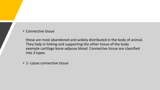 • Connective tissue
these are most abandoned and widely distributed in the body of animal.
They help in linking and supporting the other tissue of the body
example cartilage bone adipose blood. Connective tissue are classified
into 3 types
• 1- Loose connective tissue
 