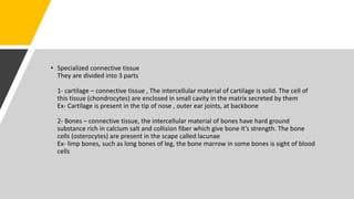 • Specialized connective tissue
They are divided into 3 parts
1- cartilage – connective tissue , The intercellular material of cartilage is solid. The cell of
this tissue (chondrocytes) are enclosed in small cavity in the matrix secreted by them
Ex- Cartilage is present in the tip of nose , outer ear joints, at backbone
2- Bones – connective tissue, the intercellular material of bones have hard ground
substance rich in calcium salt and collision fiber which give bone it’s strength. The bone
cells (osterocytes) are present in the scape called lacunae
Ex- limp bones, such as long bones of leg, the bone marrow in some bones is sight of blood
cells
 