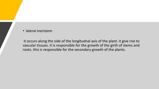 • lateral meristem
it occurs along the side of the longitudnal axis of the plant. it give rise to
vascular tissues. it is responsible for the growth of the girth of stems and
roots. this is responsible for the secondary growth of the plants.
 
