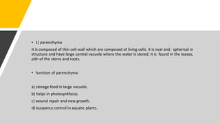 • 1) parenchyma
it is composed of thin cell-wall which are composed of living cells. it is oval and spherical in
structure and have large central vacuole where the water is stored. it is found in the leaves,
pith of the stems and roots.
• function of parenchyma
a) storage food in large vacuole.
b) helps in photosynthesis.
c) wound repair and new growth.
d) buoyancy control in aquatic plants.
 