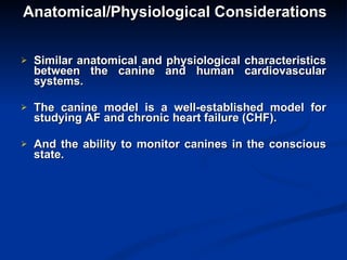 Anatomical/Physiological Considerations Similar anatomical and physiological characteristics between the canine and human cardiovascular systems. The canine model is a well-established model for studying AF and chronic heart failure (CHF). And the ability to monitor canines in the conscious state. 