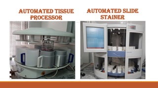 Pathology specimen handling and process of making slides | PPTX