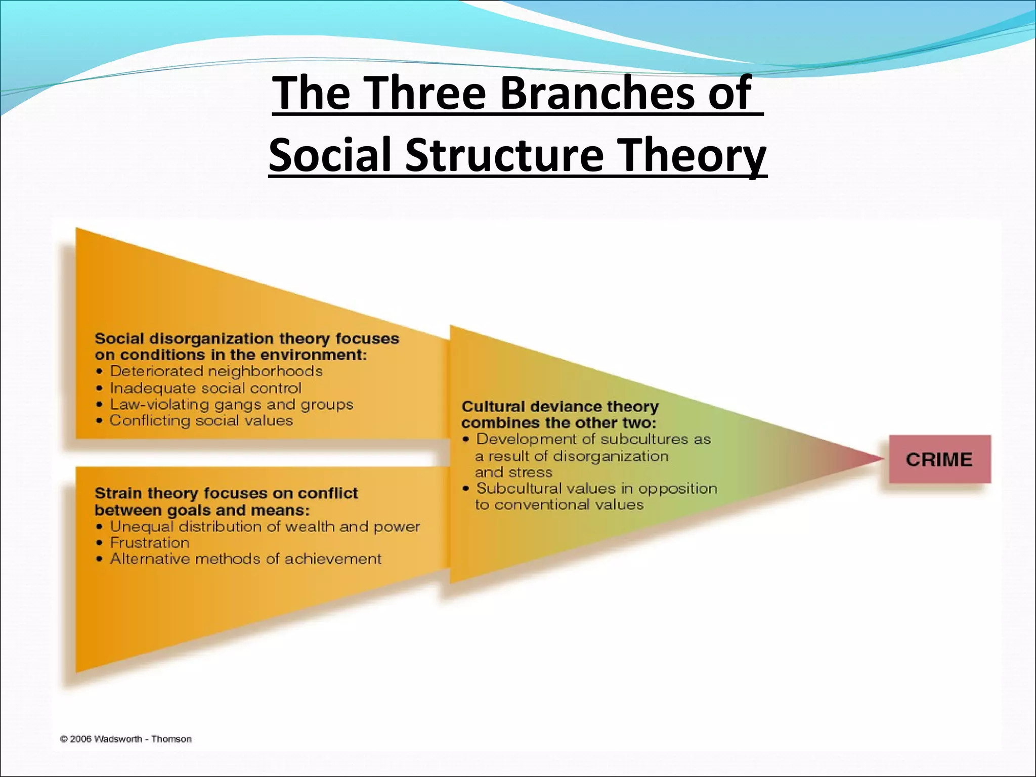The Three Branches of 
Social Structure Theory 
 