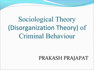 Sociological Theory 
(Disorganization Theory) of 
Criminal Behaviour 
PRAKASH PRAJAPAT 
 