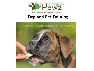 Dog and Pet Training
 