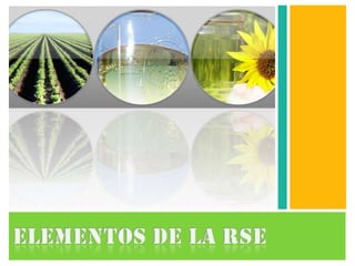 Elementos de la rse