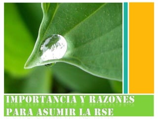 Importancia y razones para asumir la rse