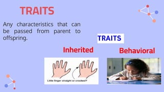 PPT FOR GENETICS (2).pptx