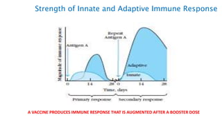 Strength of Innate and Adaptive Immune Response
A VACCINE PRODUCES IMMUNE RESPONSE THAT IS AUGMENTED AFTER A BOOSTER DOSE
 