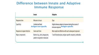 Difference between Innate and Adaptive
Immune Response
Antigen non-specific Antigen specific
 