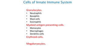 Cells of Innate Immune System
Granulocytes.
• Neutrophils
• Basophils
• Mast cells
• Eosinophils
Myeloid antigen presenting cells.
• Monocytes
• Macrophages
• Dendritic cells
Erythroid cells.
Megakaryocytes.
 