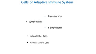 Cells of Adaptive Immune System
• Lymphocytes
T lymphocytes
B lymphocytes
• Natural Killer Cells
• Natural Killer T Cells
 