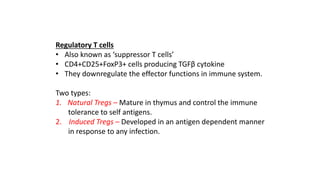 Regulatory T cells
• Also known as ‘suppressor T cells’
• CD4+CD25+FoxP3+ cells producing TGFβ cytokine
• They downregulate the effector functions in immune system.
Two types:
1. Natural Tregs – Mature in thymus and control the immune
tolerance to self antigens.
2. Induced Tregs – Developed in an antigen dependent manner
in response to any infection.
 
