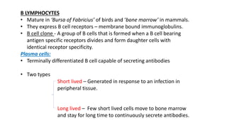 B LYMPHOCYTES
• Mature in ‘Bursa of Fabricius’ of birds and ‘bone marrow’ in mammals.
• They express B cell receptors – membrane bound immunoglobulins.
• B cell clone - A group of B cells that is formed when a B cell bearing
antigen specific receptors divides and form daughter cells with
identical receptor specificity.
Plasma cells:
• Terminally differentiated B cell capable of secreting antibodies
• Two types
Short lived – Generated in response to an infection in
peripheral tissue.
Long lived – Few short lived cells move to bone marrow
and stay for long time to continuously secrete antibodies.
 