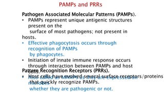 PAMPs and PRRs
Pathogen Associated Molecular Patterns (PAMPs).
• PAMPs represent unique antigenic structures
present on the
surface of most pathogens; not present in
hosts.
• Effective phagocytosis occurs through
recognition of PAMPs
by phagocytes.
• Initiation of innate immune response occurs
through interaction between PAMPs and host
cells.
• Also called as MAMPs as they are expressed on
microbes
whether they are pathogenic or not.
Pattern Recognition Receptors (PRRs).
• Host cells have evolved several surface receptors/proteins
that quickly recognize PAMPs.
 