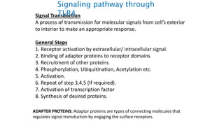 Signal Transduction
A process of transmission for molecular signals from cell’s exterior
to interior to make an appropriate response.
General Steps
1. Receptor activation by extracellular/ intracellular signal.
2. Binding of adapter proteins to receptor domains
3. Recruitment of other proteins
4. Phosphorylation, Ubiquitination, Acetylation etc.
5. Activation.
6. Repeat of step 3,4,5 (If required).
7. Activation of transcription factor
8. Synthesis of desired proteins.
ADAPTER PROTEINS: Adaptor proteins are types of connecting molecules that
regulates signal transduction by engaging the surface receptors.
Signaling pathway through
TLR4
 