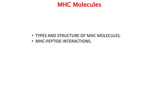 MHC Molecules
• TYPES AND STRUCTURE OF MHC MOLECULES.
• MHC-PEPTIDE INTERACTIONS.
 