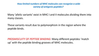 How limited numbers of MHC molecules can recognize a wide
variety of antigenic peptides?
Many ‘allelic variants’ exist in MHC I and II molecules dividing them into
many classes.
These variants result due to polymorphism in the region where the
peptide binds.
PROSMISCUITY OF PEPTIDE BINDING: Many different peptides ‘match
up’ with the peptide binding grooves of MHC molecules.
 