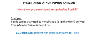PRESENTATION OF NON-PEPTIDE ANTIGENS
How is non-protein antigens recognized by T cells??
Example:
T cells can be activated by mycolic acid (a lipid antigen) derived
from Mycobacterium tuberculosis
CD1 molecules present non-protein antigens to T cells
 