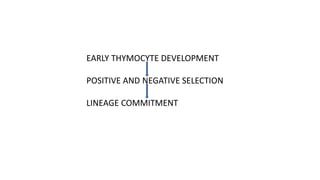 EARLY THYMOCYTE DEVELOPMENT
POSITIVE AND NEGATIVE SELECTION
LINEAGE COMMITMENT
 