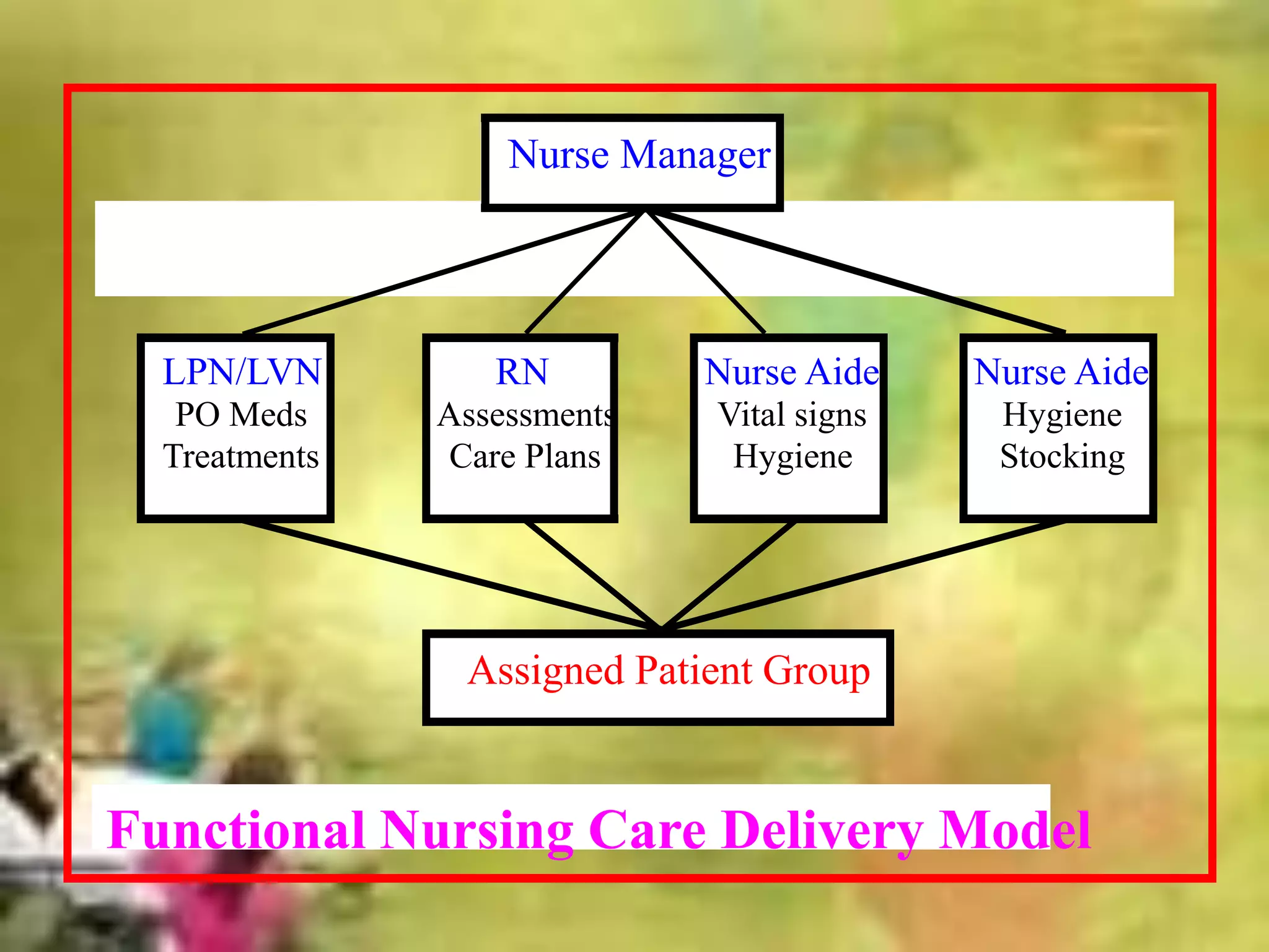 Nurse Manager
LPN/LVN
PO Meds
Treatments
RN
Assessments
Care Plans
Nurse Aide
Vital signs
Hygiene
Nurse Aide
Hygiene
Stocking
Assigned Patient Group
Functional Nursing Care Delivery Model
 