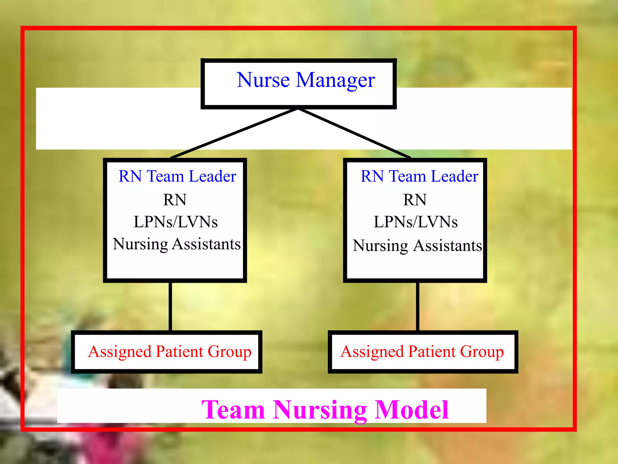 Nurse Manager
RN Team Leader
RN
LPNs/LVNs
Nursing Assistants
RN Team Leader
RN
LPNs/LVNs
Nursing Assistants
Assigned Patient Group Assigned Patient Group
Team Nursing Model
 