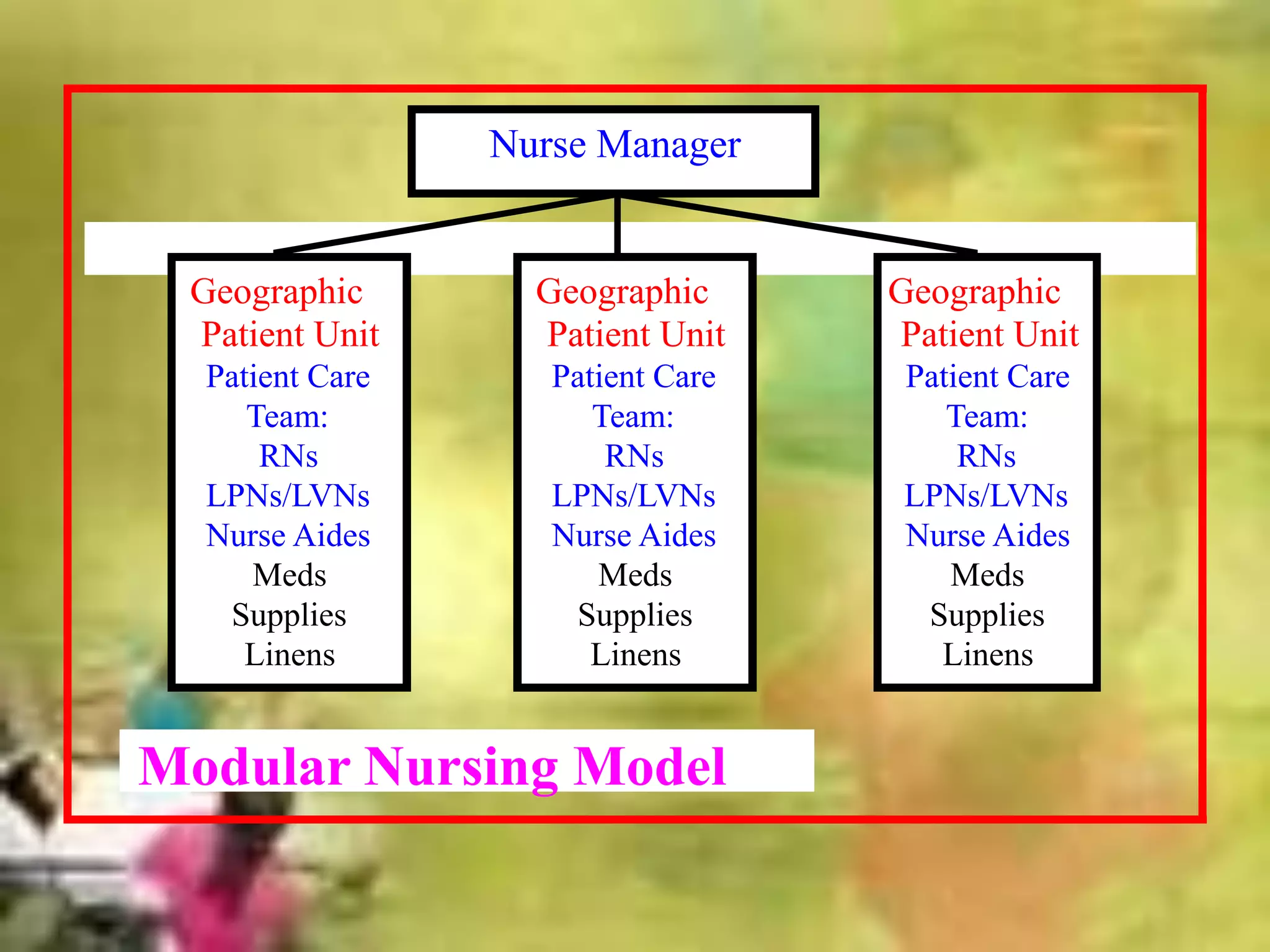 Geographic
Patient Unit
Patient Care
Team:
RNs
LPNs/LVNs
Nurse Aides
Meds
Supplies
Linens
Geographic
Patient Unit
Patient Care
Team:
RNs
LPNs/LVNs
Nurse Aides
Meds
Supplies
Linens
Geographic
Patient Unit
Patient Care
Team:
RNs
LPNs/LVNs
Nurse Aides
Meds
Supplies
Linens
Nurse Manager
Modular Nursing Model
 