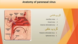 Anatomy of paranasal sinus
.1
maxillary sinus
.2
frontal sinus
.3
Anterior ethmoidal sinus
‫گروپ‬
‫خلفی‬
Posterior ethmoid...